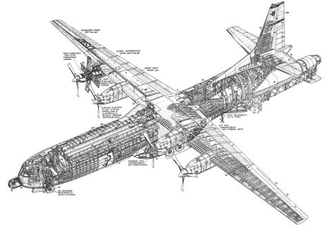 C 17 Aircraft Cutaway Drawing