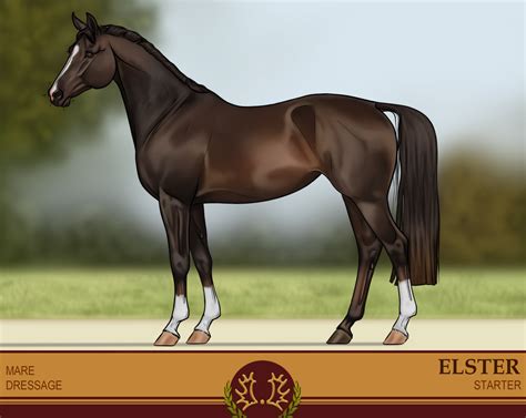 Elster by TV-Admin on DeviantArt