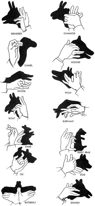 Beyond the basic bunny shadow puppets | Hand shadows, Shadow puppets ...