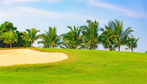 Green golf course stock image. Image of sand, golf, recreation - 131067909