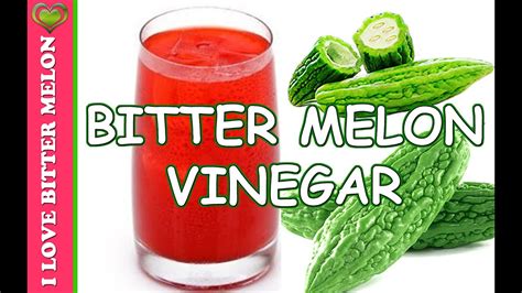 DIABETES MAKE BITTER MELON VINEGAR DRINK with Every Meal Bitter Gourd ...