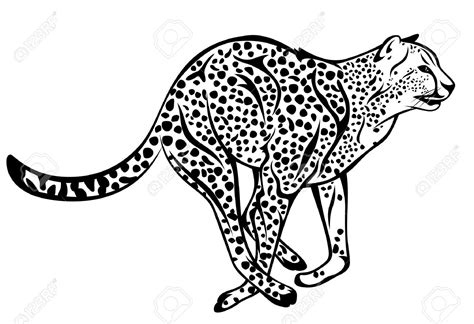 black and white clipart cheetah 10 free Cliparts | Download images on ...