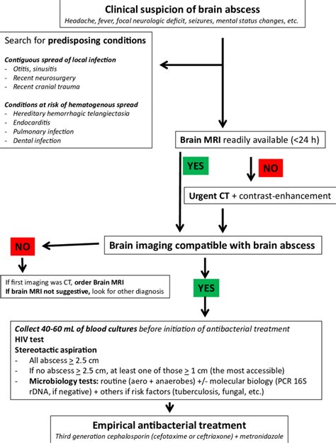 Algorithm for the management of patients suspected of brain abscess ...