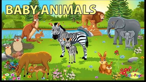 Baby Animals Pictures For Kids