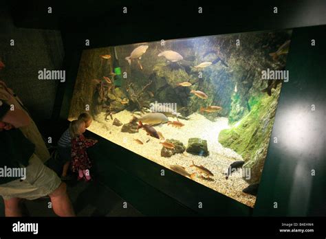 London aquarium hi-res stock photography and images - Alamy