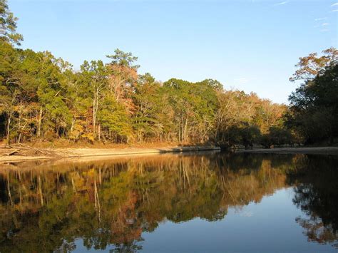 A Treehouse Getaway on the Edisto River