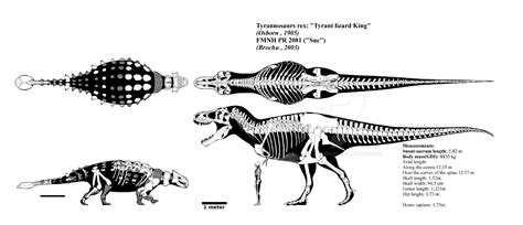 Tyrannosaurus rex v Ankylosaurus magniventris - Carnivora