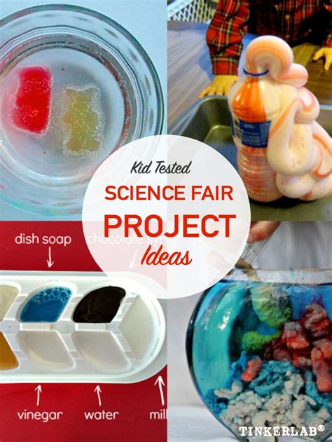 Science Fair Project Ideas | TinkerLab