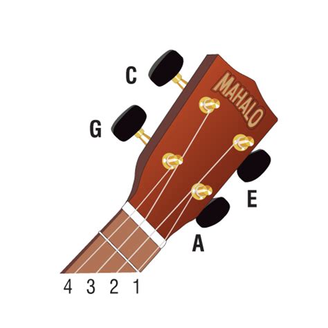 Basic Ukulele Chords - Mahalo Ukuleles