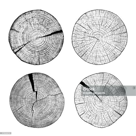 Set Of Distressed Wood Texture Stock Illustration - Download Image Now ...