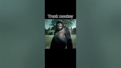 Trunk monkey meme - YouTube