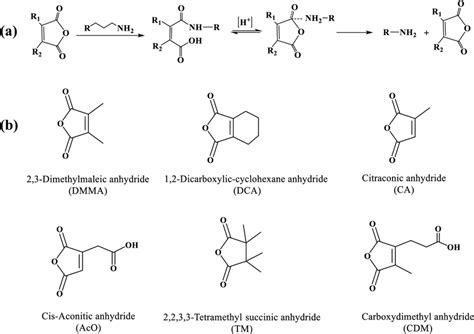 a Synthetic scheme and pH-responsive structure change of maleic ...