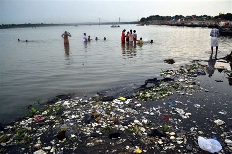 Flesh Eating Turtles in India | Ganges