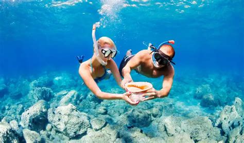 The Ultimate Guide to Snorkeling at Coco Cay! - Trip Pursuit