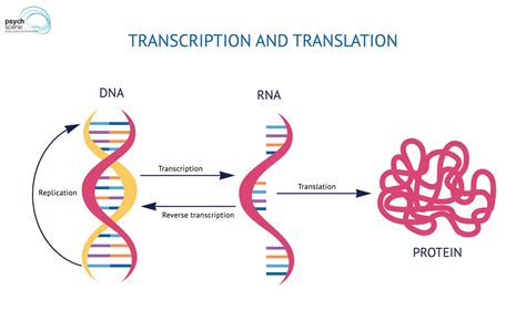 Epigenetic Mechanisms in Psychiatric Disorders