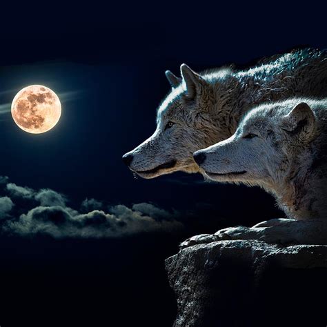 Wolf Howling At The Full Moon Painting By Elizabeth