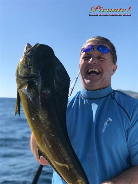 Fishing Report February 15th, 2020 Cabo San Lucas - Picante Sportfishing