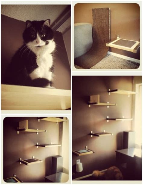 10 DIY Cat Projects and Crafts