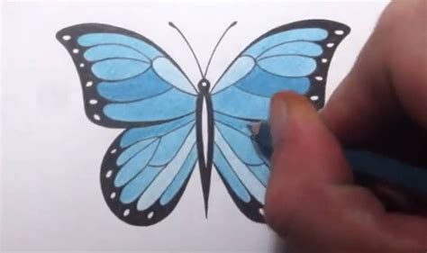 Pretty Butterfly Drawing at GetDrawings | Free download