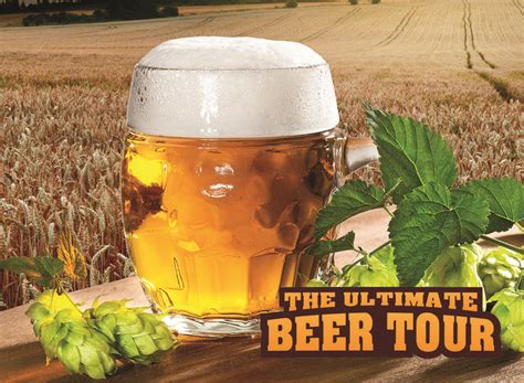 Winery and Brewery Tours | Brewery tours, Beer tours, Brewery