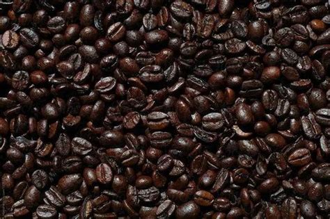 Roasted Coffee Beans, Grade: AA, Packaging Type: Loose at Rs 500/kg in ...