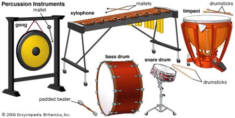 A Beginner’s Guide to Instruments of the Orchestra | Spinditty