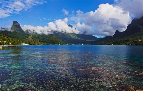 HD Cook's Bay Moorea South Pacific Wallpaper | Moorea island, Tahiti ...