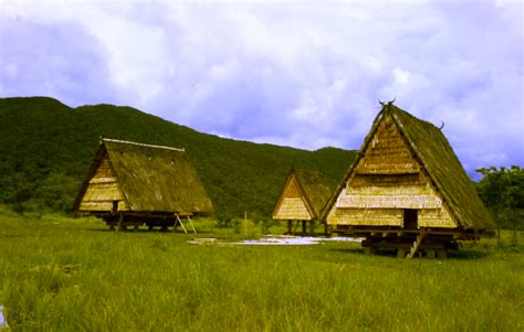 Ciri Khas Rumah Adat Sulawesi Selatan | rumah cantik menawan