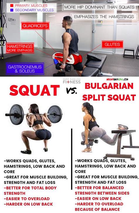 What Muscles Do Bulgarian Split Squats Work - Rectangle Circle