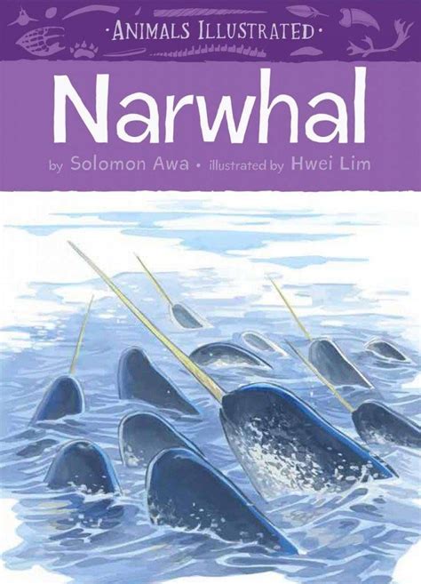 Animals Illustrated: Narwhal | NHBS Bookstore