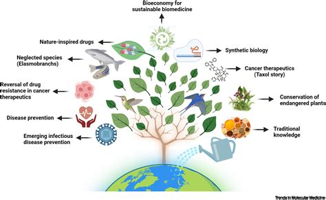 Biodiversity: the overlooked source of human health: Trends in ...