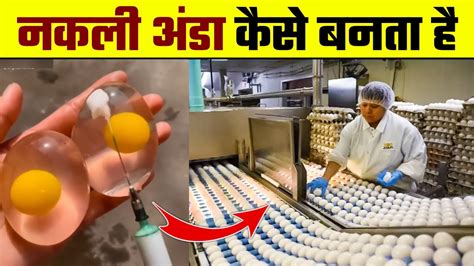 देखिए नकली अंडा कैसे बनता है | How Fake Eggs are Made and Fake Egg ...