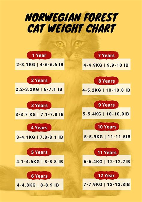 hand pain chart