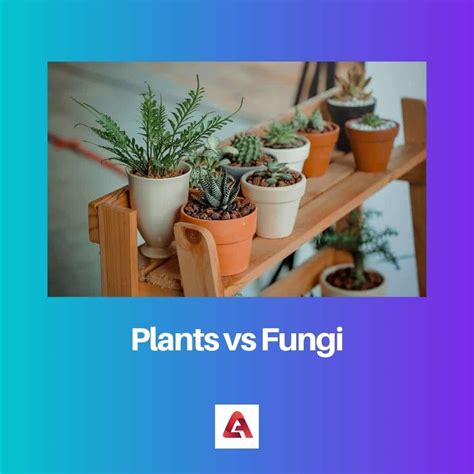 Plants vs Fungi: Difference and Comparison