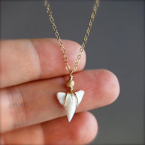 shark tooth gold chain necklace … | Shark teeth jewelry, Jewelry, Shark ...