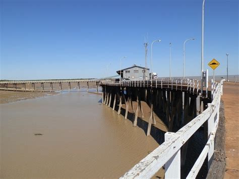 Birding Adventures at the Broome Bird Observatory