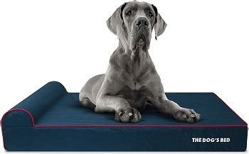 Best 6 Orthopedic Crate Pads (Beds) Ensuring Healthy Life