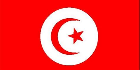 "Tounes Alia": Le drapeau tunisien à plus de 20.000 mètres d'altitude ...