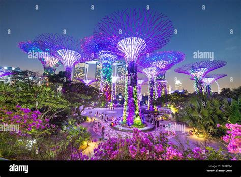 Singapore, Marina Bay, Garden By the bay, botanic garden, Supertree ...