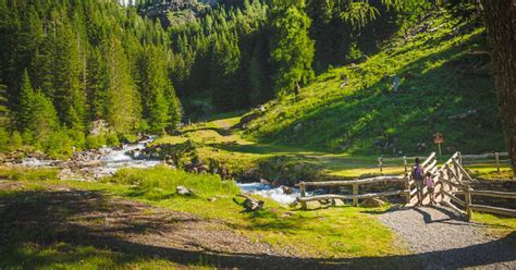 Stelvio National Park in Val di Sole Trentino