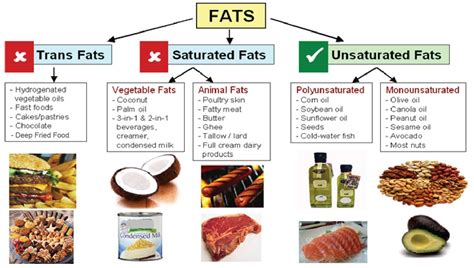 Saturated Fat and Unsaturated Fat - TetumnCheng