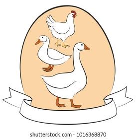 Poultry Farm Logo Stock Vector (Royalty Free) 1016368870 | Shutterstock