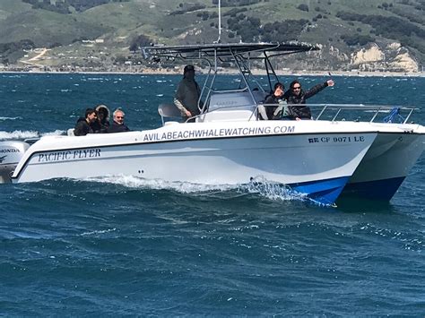 AVILA BEACH WHALE WATCHING - 2022 Qué saber antes de ir - Lo más ...