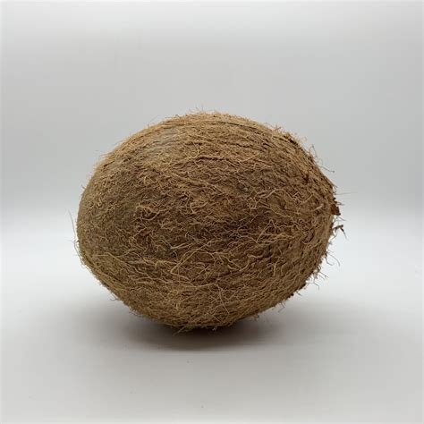 Dried Coconut - Caridoor