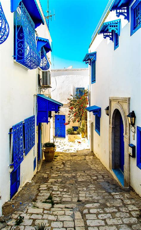 Village de Sidi Bou Saïd | Tunisie paysage, Tunisie tourisme, Paysage ...