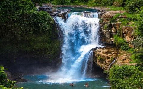 Full Day: Real Bali Swing, Ubud Monkey Forest And Tegenungan Waterfall