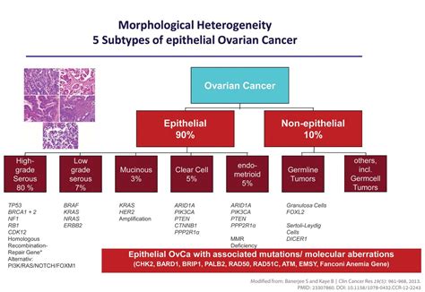 Ovarian Cancer Tumor Types