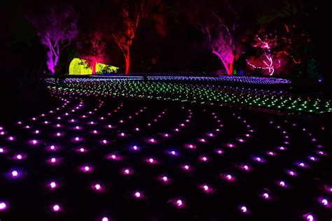 Lightscape launches in Kings Park on Friday - here's a little sneak peek