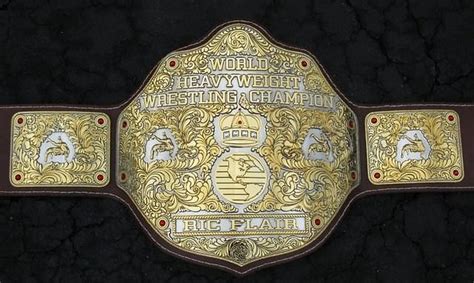 WCW BIG GOLD World Heavyweight Championship Belt Ric Flair Autograph ...