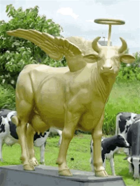 Holycow Moly GIF - Holycow Holy Cow - Discover & Share GIFs